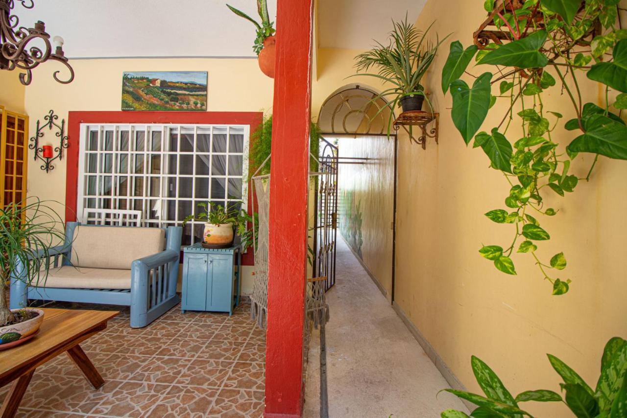 La Casa Del Almendro Hotel Playa del Carmen Bagian luar foto